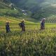 nachhaltig reisen in Asien